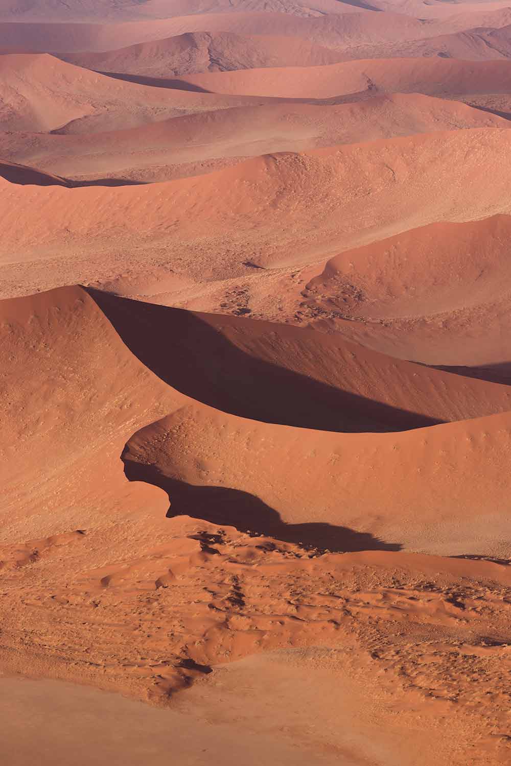 Endless dune ridges to be seen while hot air ballooning in Sossusvlei