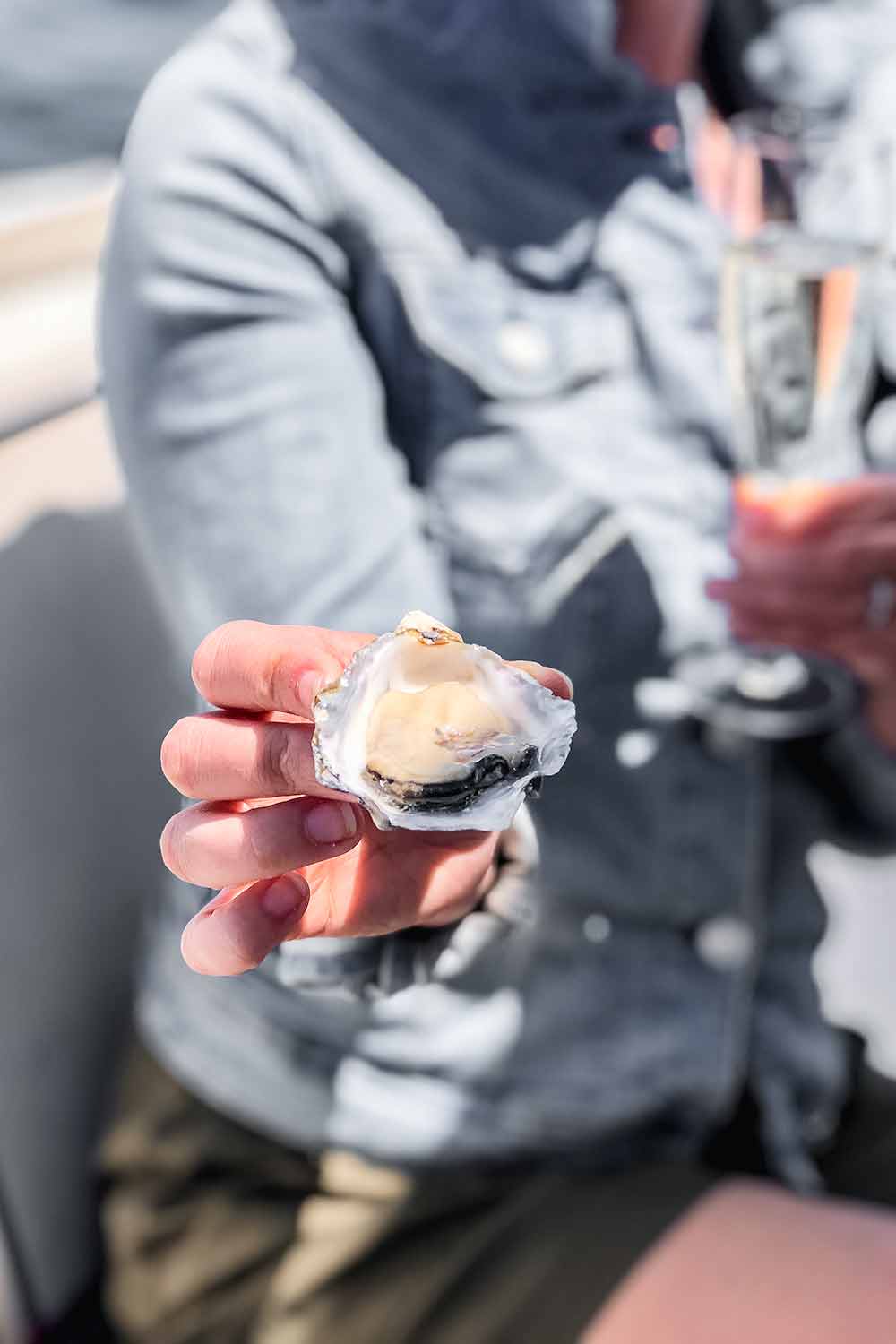 Tasting oysters with a glass of champagne on a catamaran charter from Walvis Bay