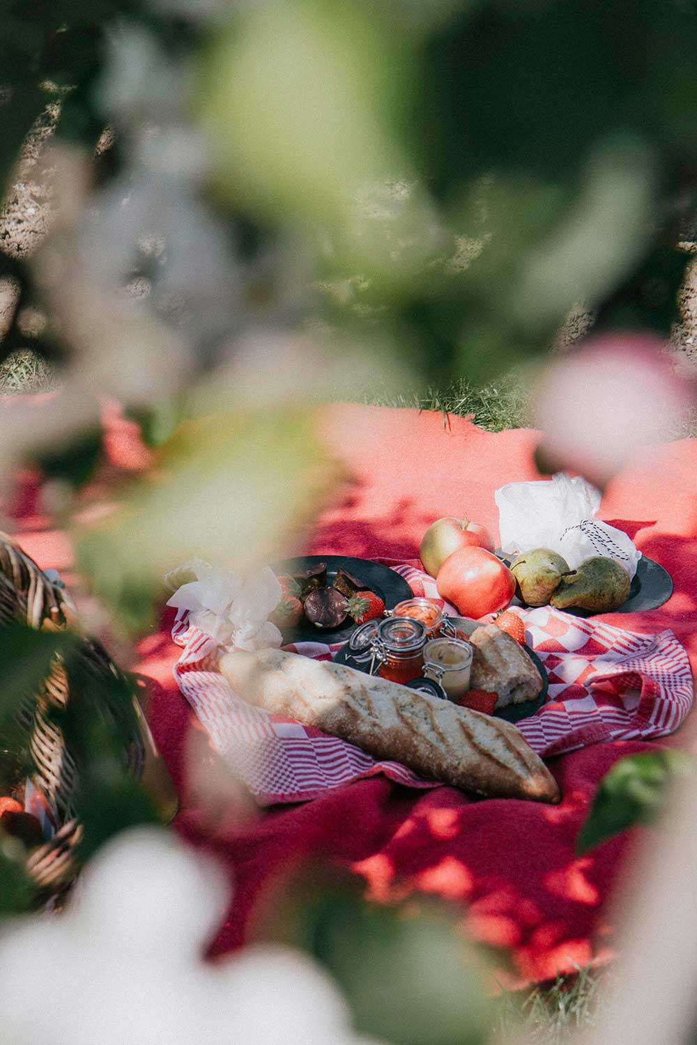 Picknicken tussen de bloesems in Borgloon