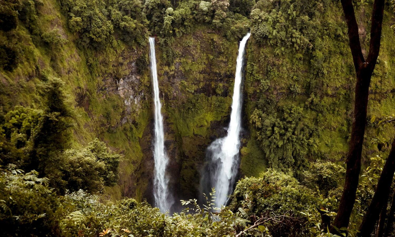 The double streams of Tad Fane Waterfall, the highest waterfalls of Laos on this Bolaven Plateau itinerary