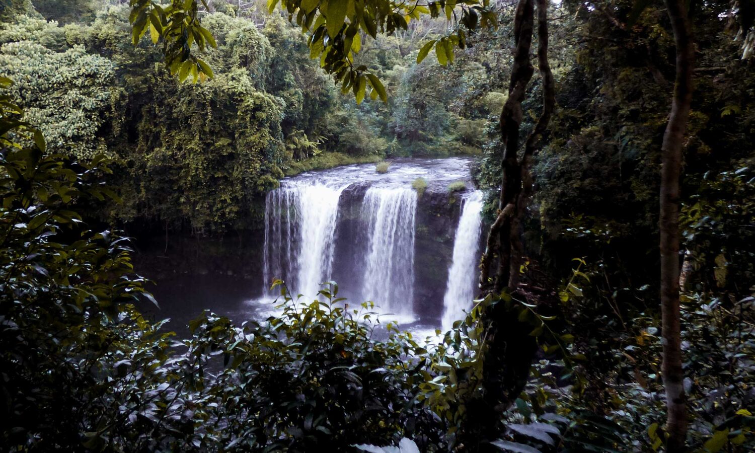 Bolaven Plateau loop