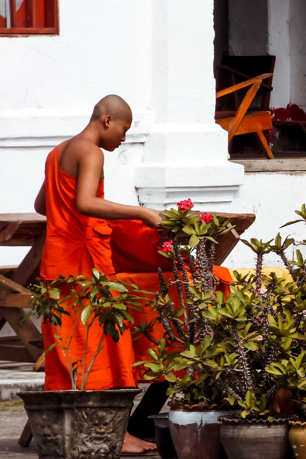 Bhuddist scenes in Luang Prabang