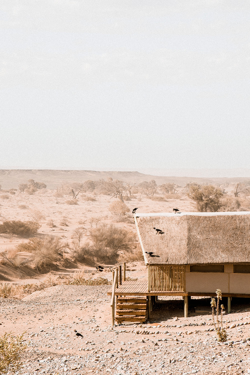 A 'Kulala' or individual accommodation of the Kulala Desert Lodge