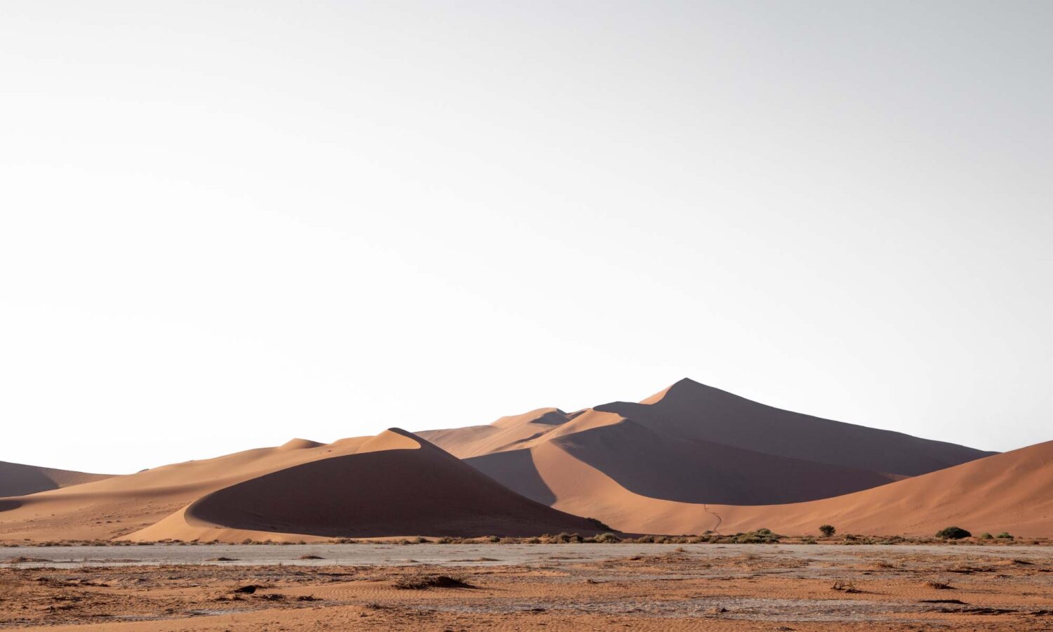 Admiring Big Daddy dune on our 2 days in Sossuvlei