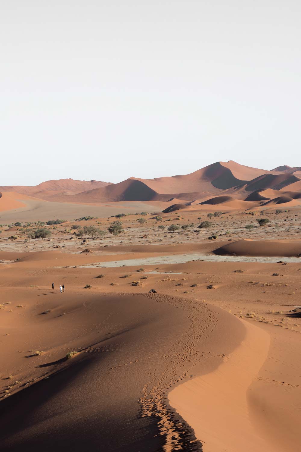 The start of our clim of Big Daddy dune