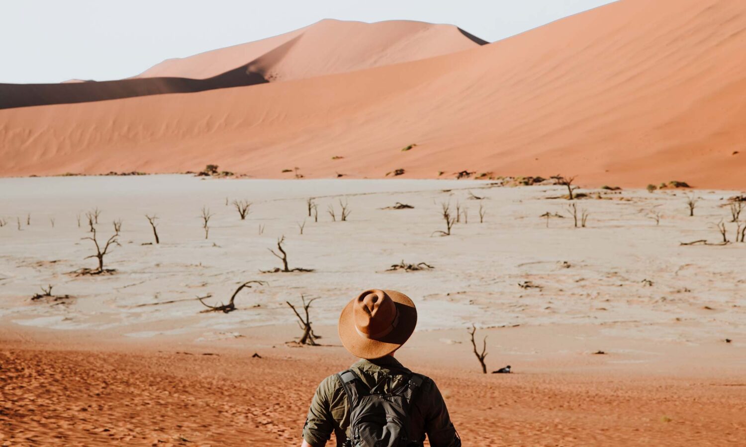 Sossusvlei activities among the sand dunes: exploring Deadvlei