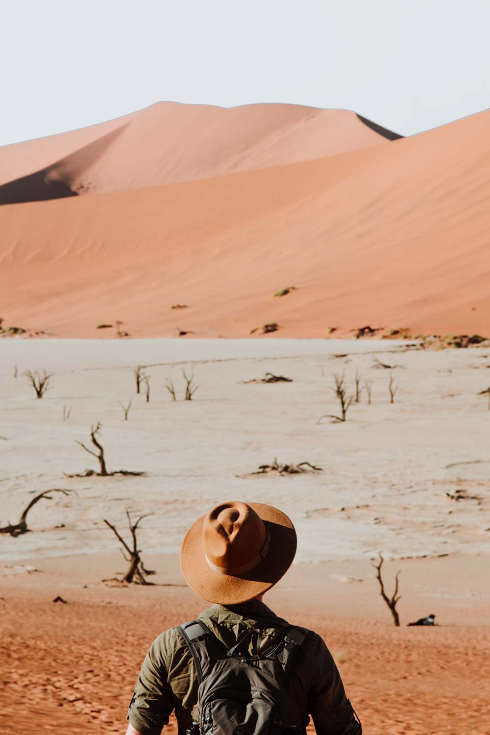 One of Sossusvlei's major attractions: Deadvlei