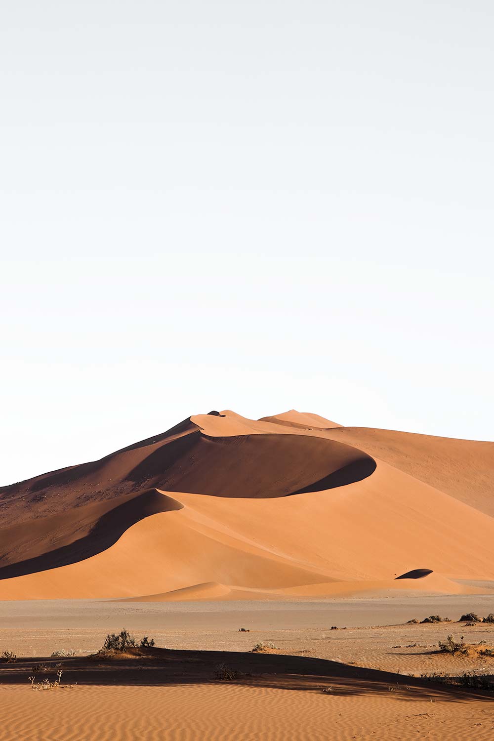 Big Momma dune is the largest dune in the Sossusvlei proximity 