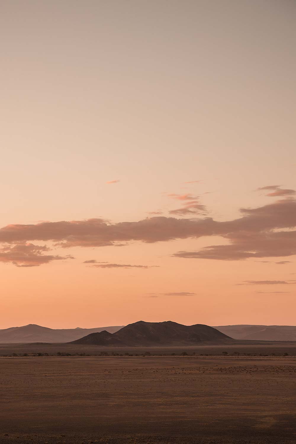 Golden hued petrified dunes during a sunset drive in the Namib desert