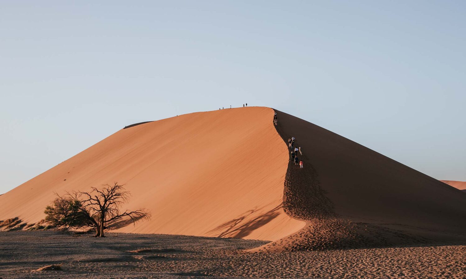 Morning hike of Dune 45