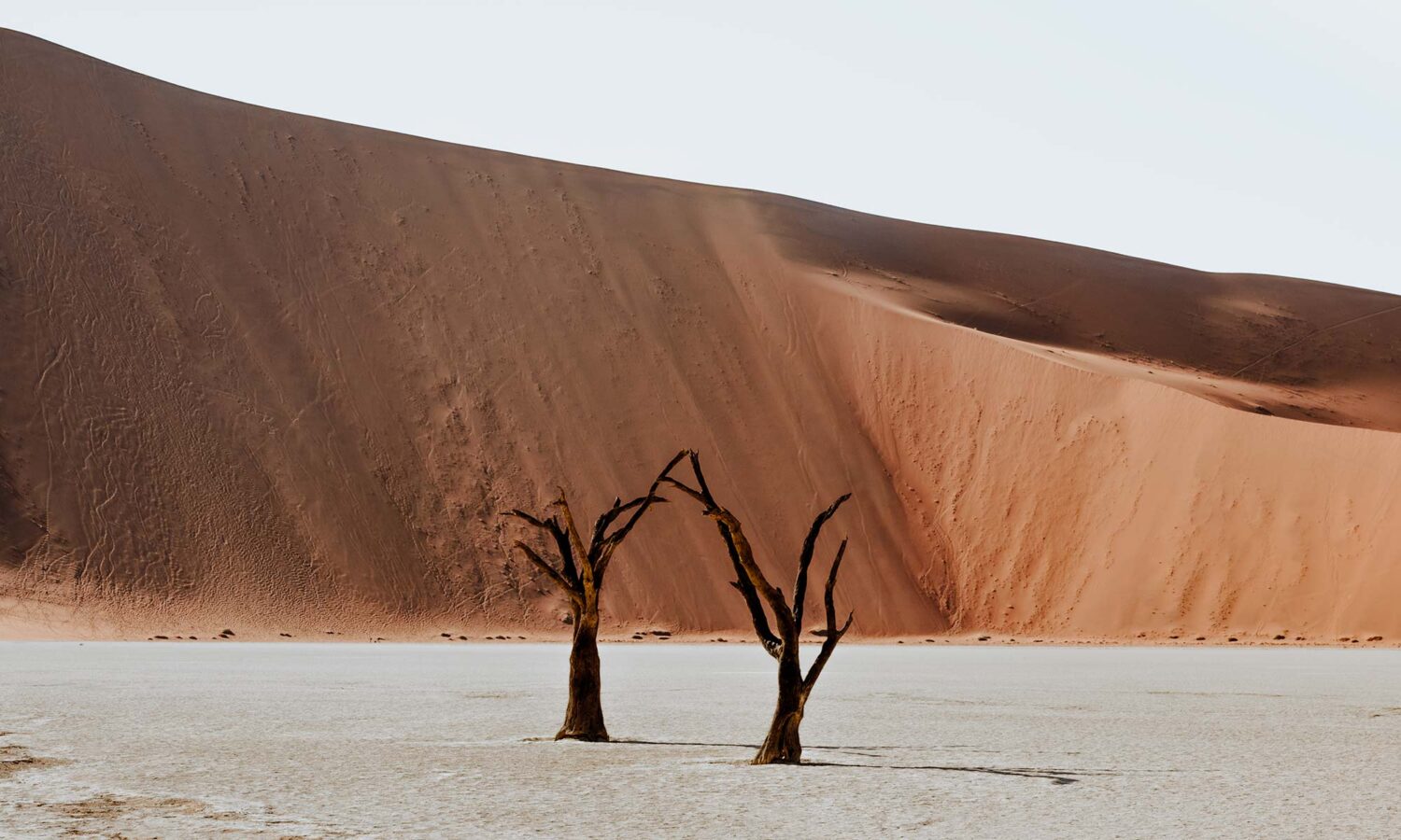 10 things to do in Sossusvlei when you have two days in Sossuvlei