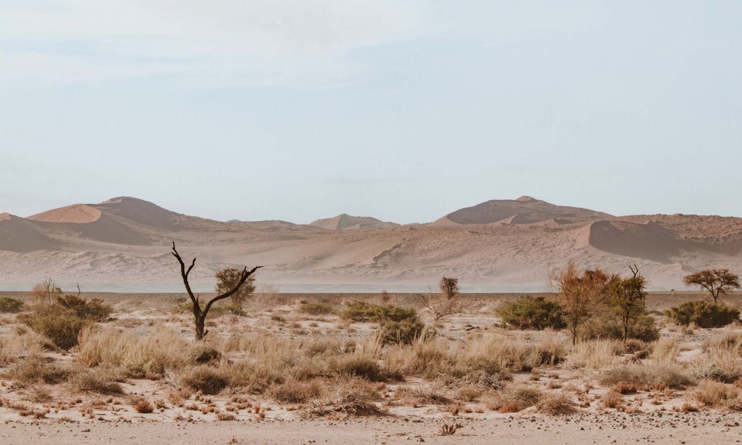 Gorgeous desert views on our two days in Sossusvlei.