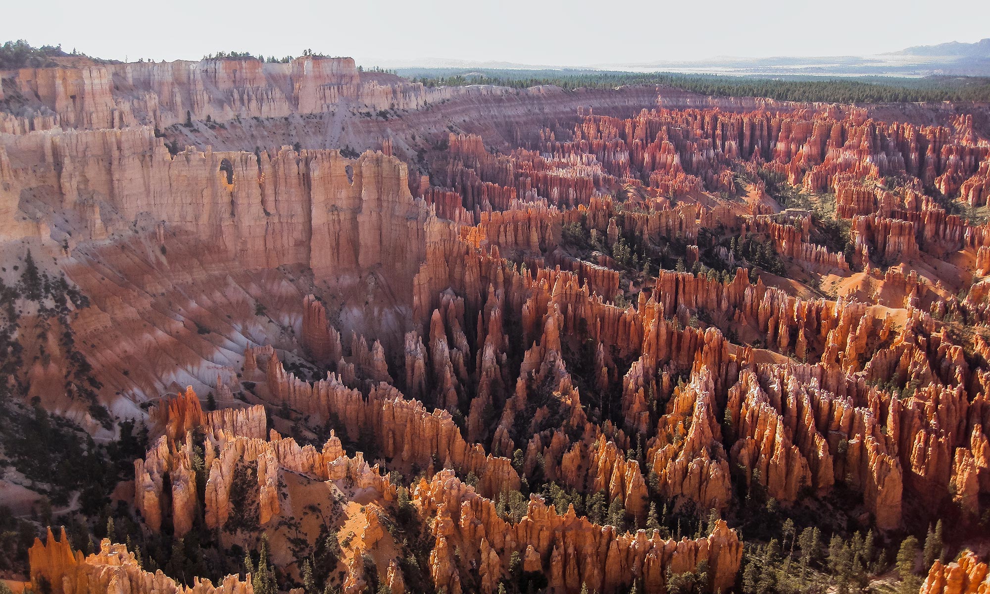 Bryce Canyon scenic drive viewpoint: Bryce Point