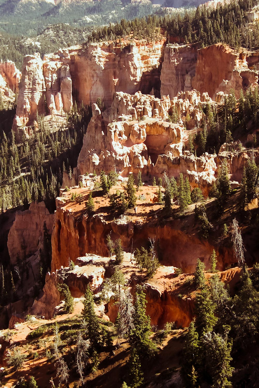 Bryce Canyon viewpoint Fairview Point