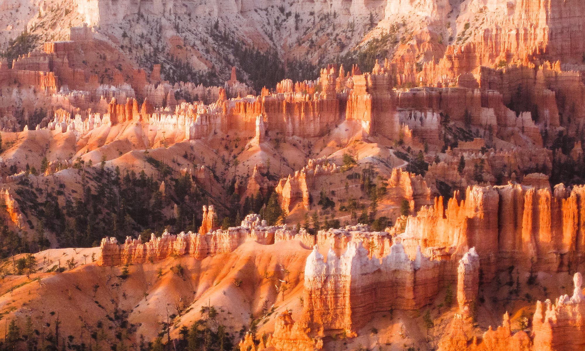 one day in Bryce Canyon: do not skip sunrise over the hoodoos