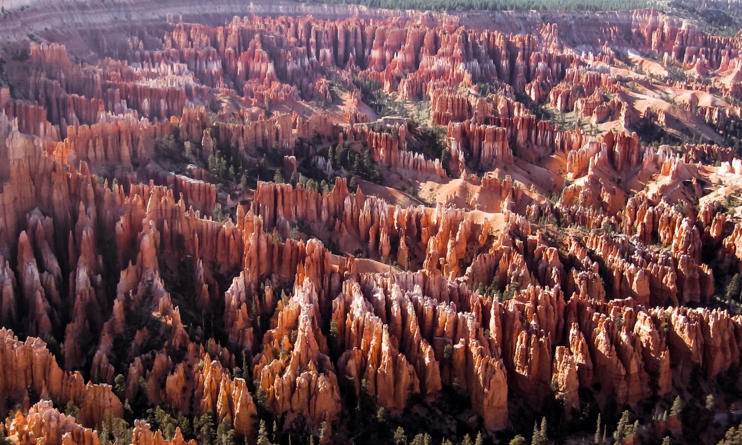 What to do in Bryce Canyon in one day:  view the magnificent hoodoos