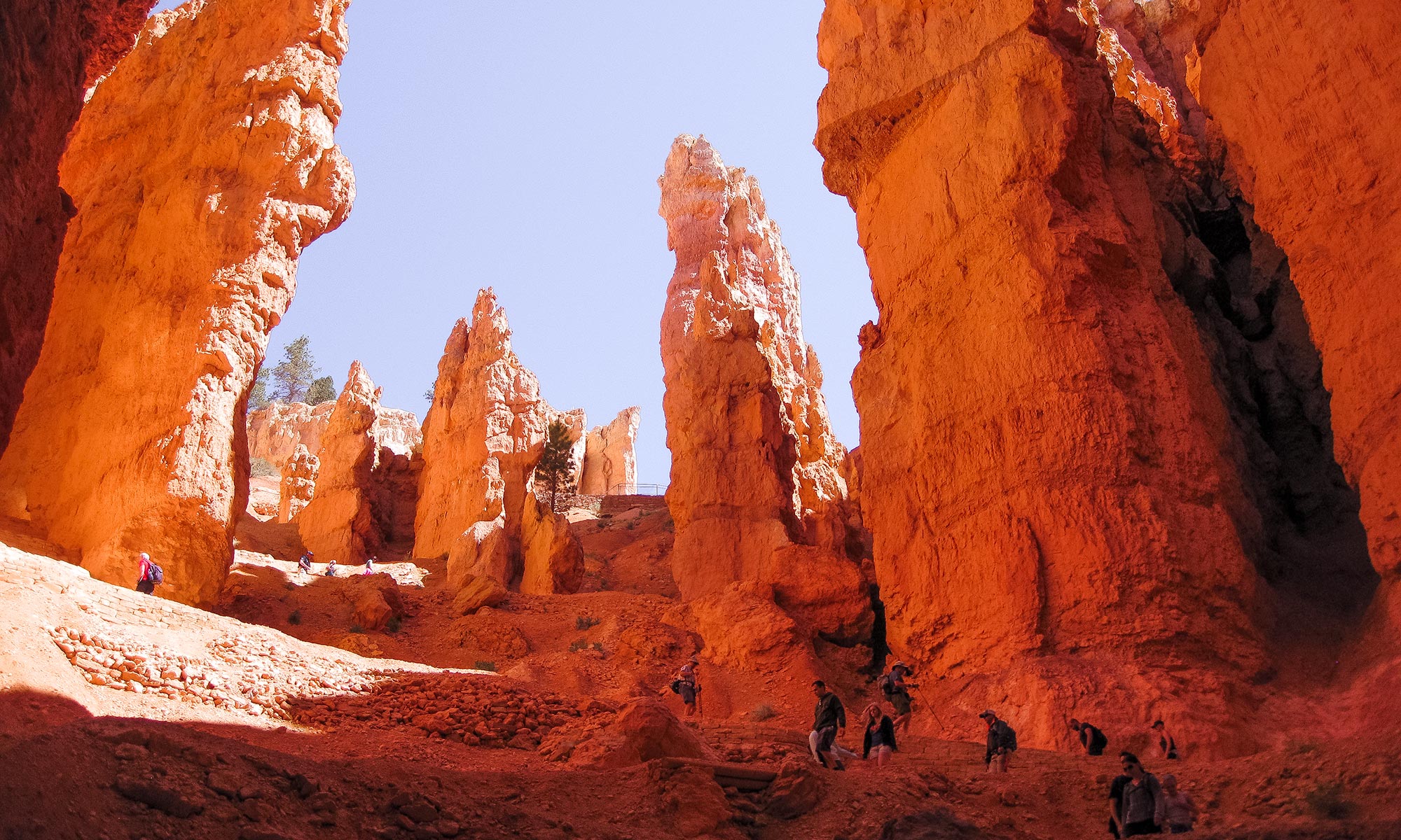 Bryce Canyon navajo loop trail