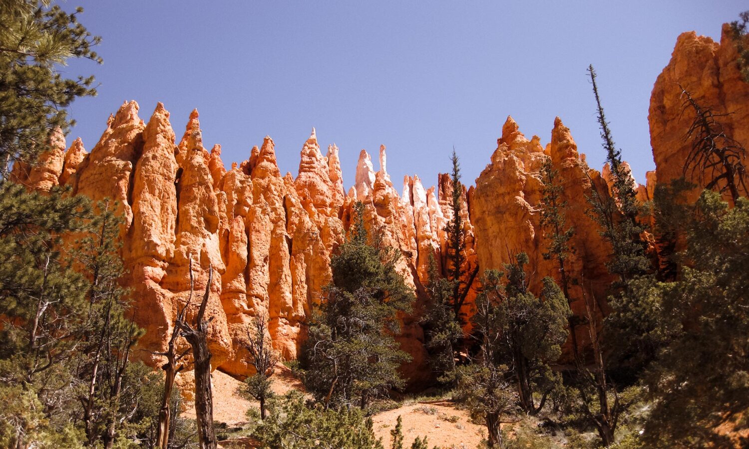 Bryce Canyon one day: hiking Navajo Loop and Queen's Garden trail