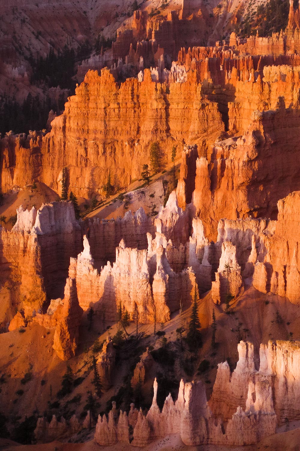 sunrise Bryce Canyon