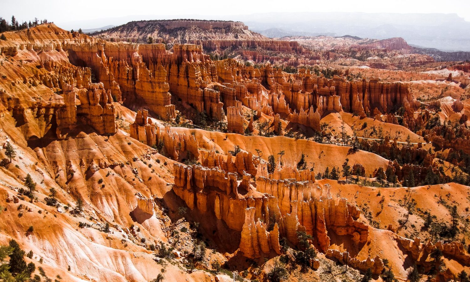 what to do in Bryce Canyon: 1 day itinerary