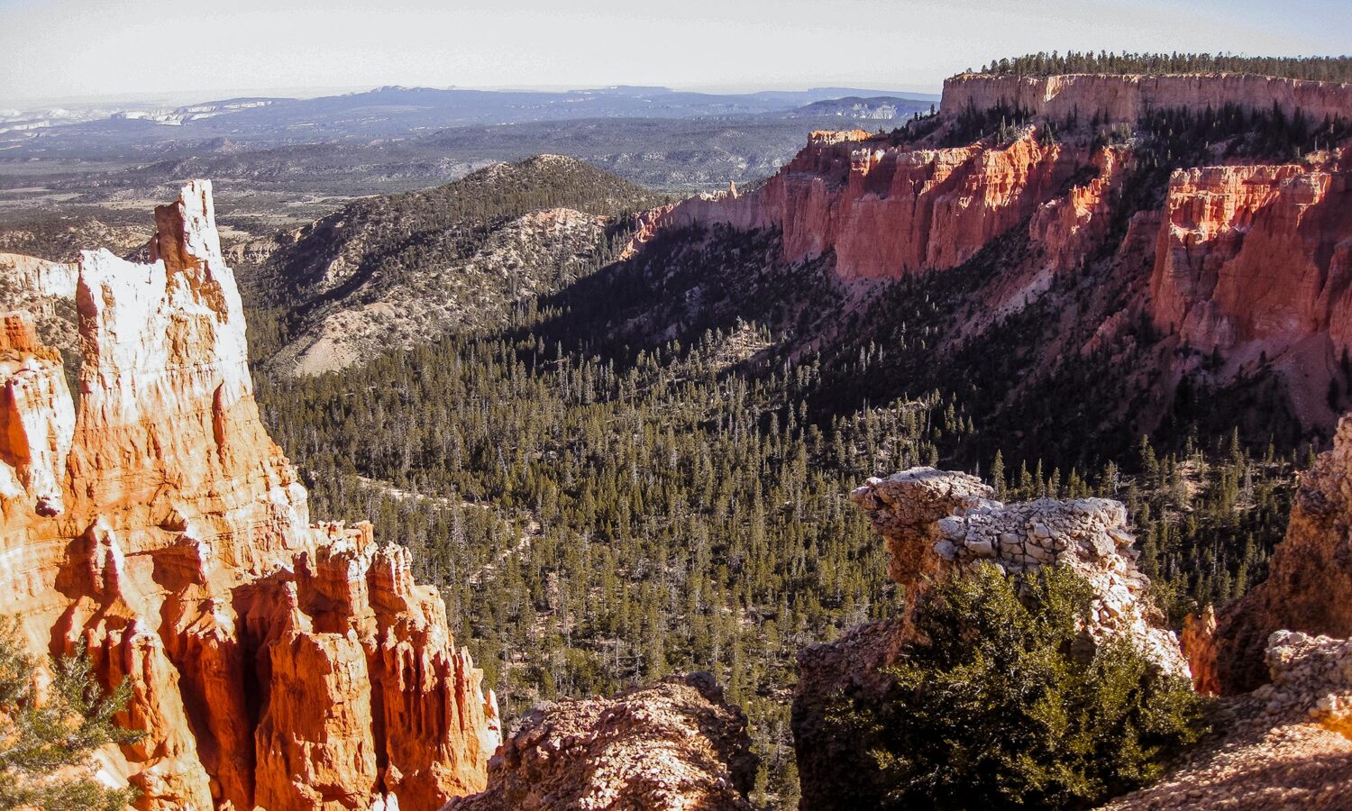 Bryce Canyon viewpoint: swamp canyon