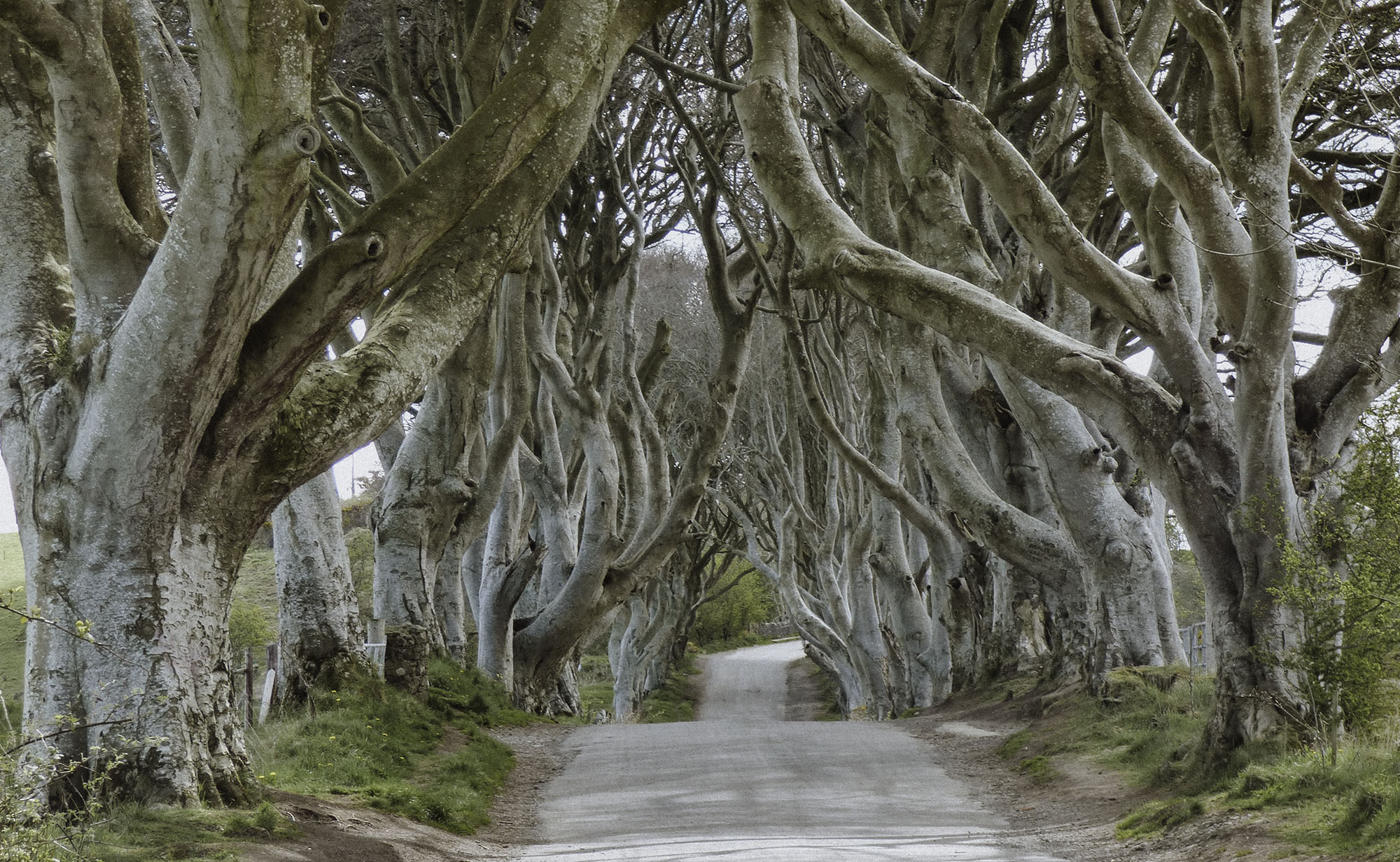 This Ireland 7 day Itinerary includes stops along the most famous Game Of Thrones film locations 