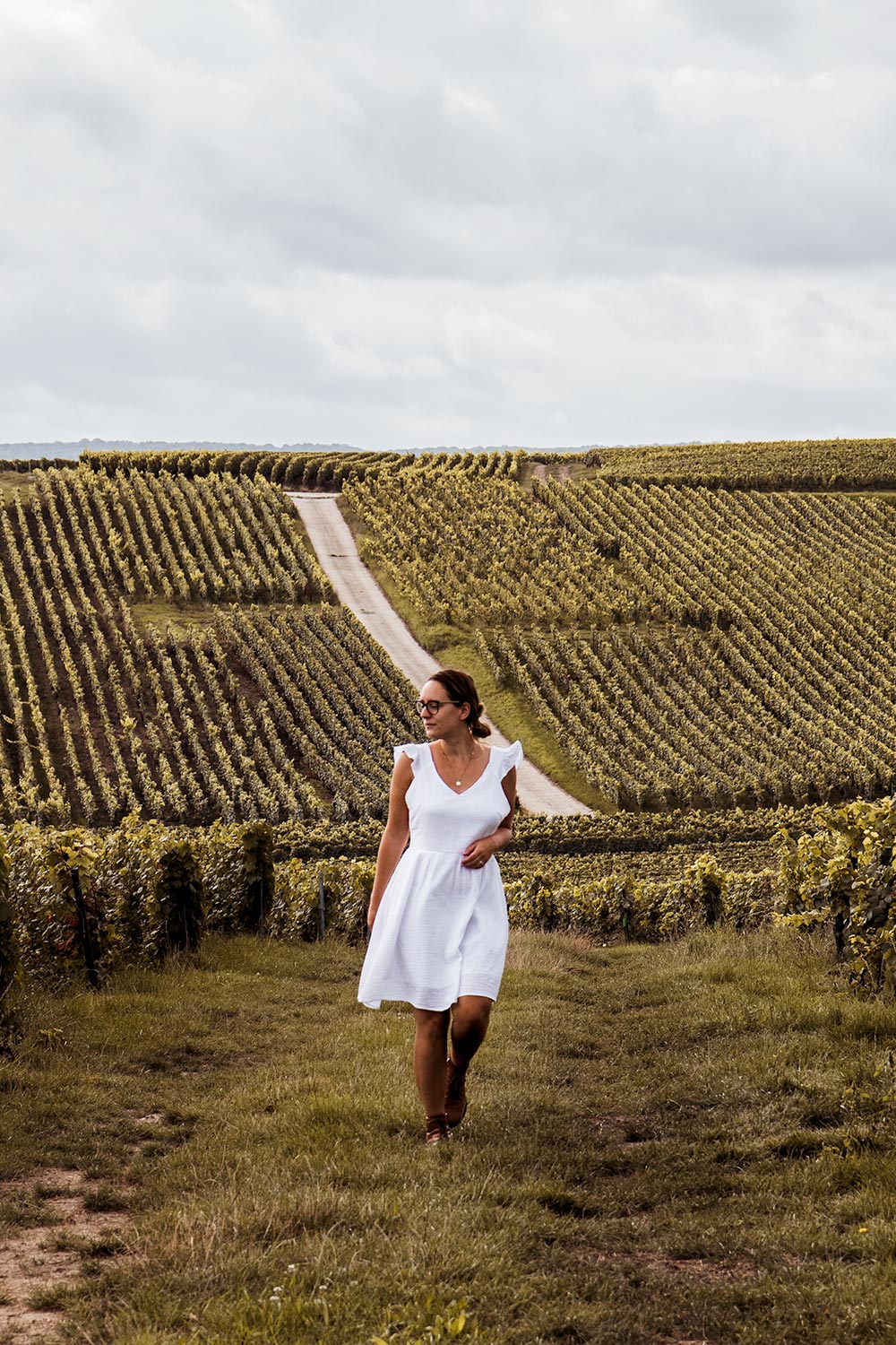 Walking through the vines in Champagne Valley, France