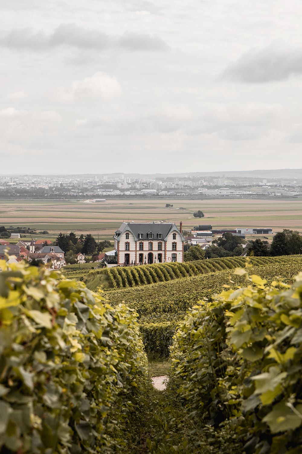 View over Chateau de Sacy, France