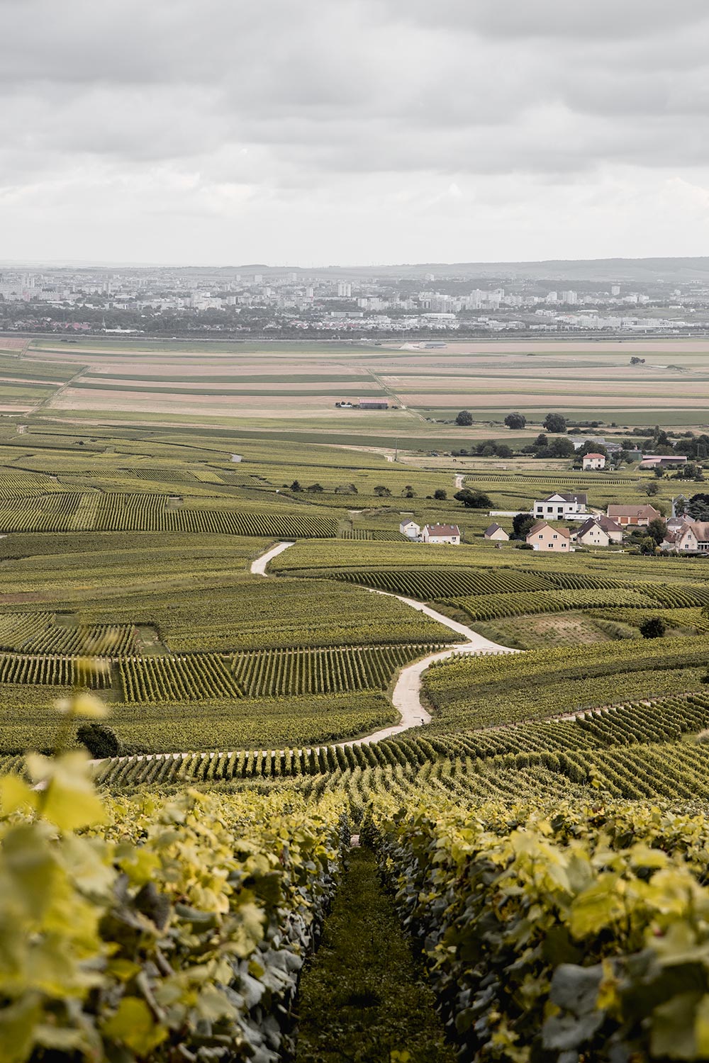 Romantic walks through the vineyards in Champagne Valley