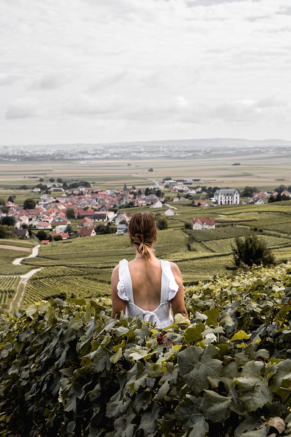 Overlooking the town of Sacy while exploring the vineyards of Champagne Valley