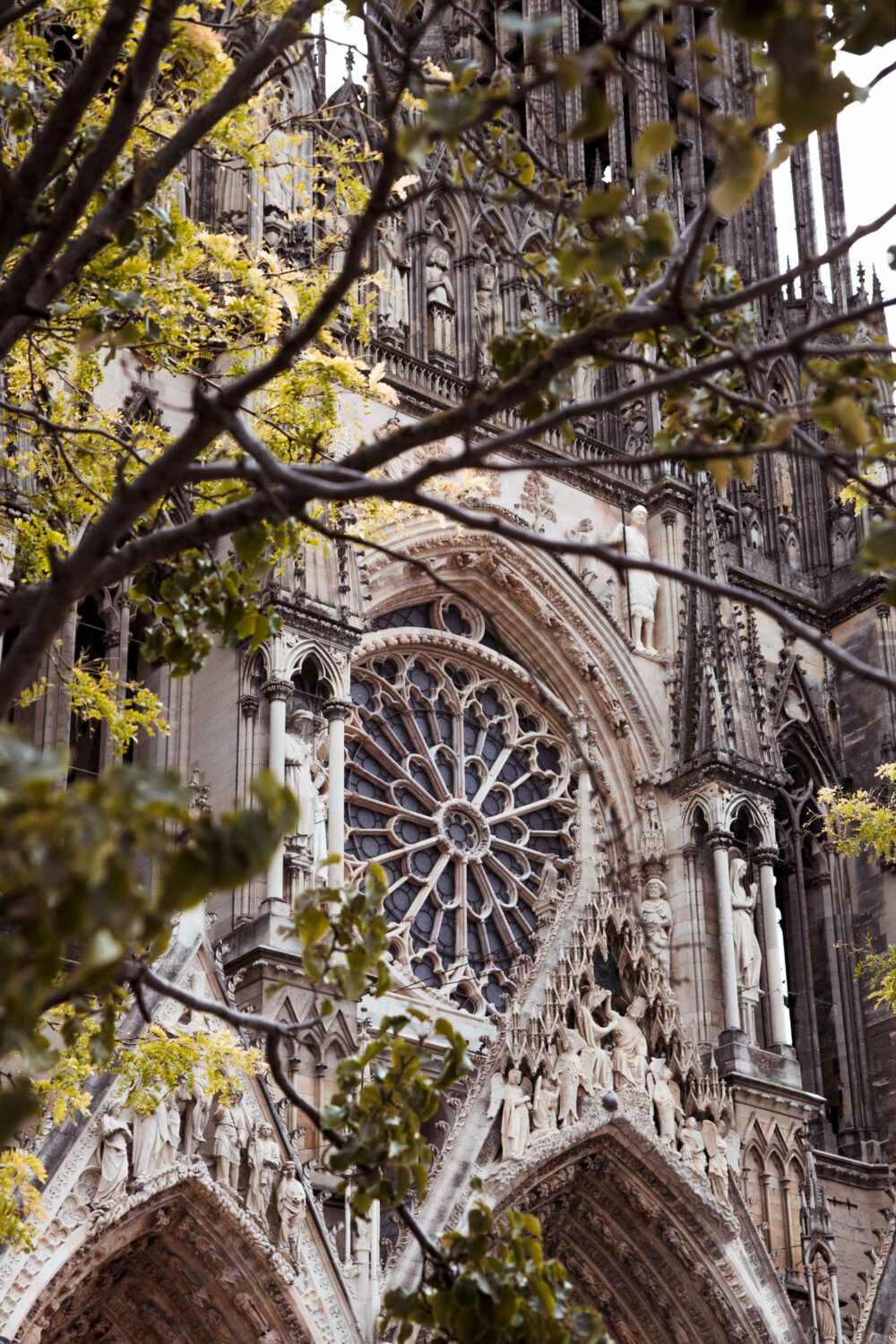 Reims Cathedral in Reims