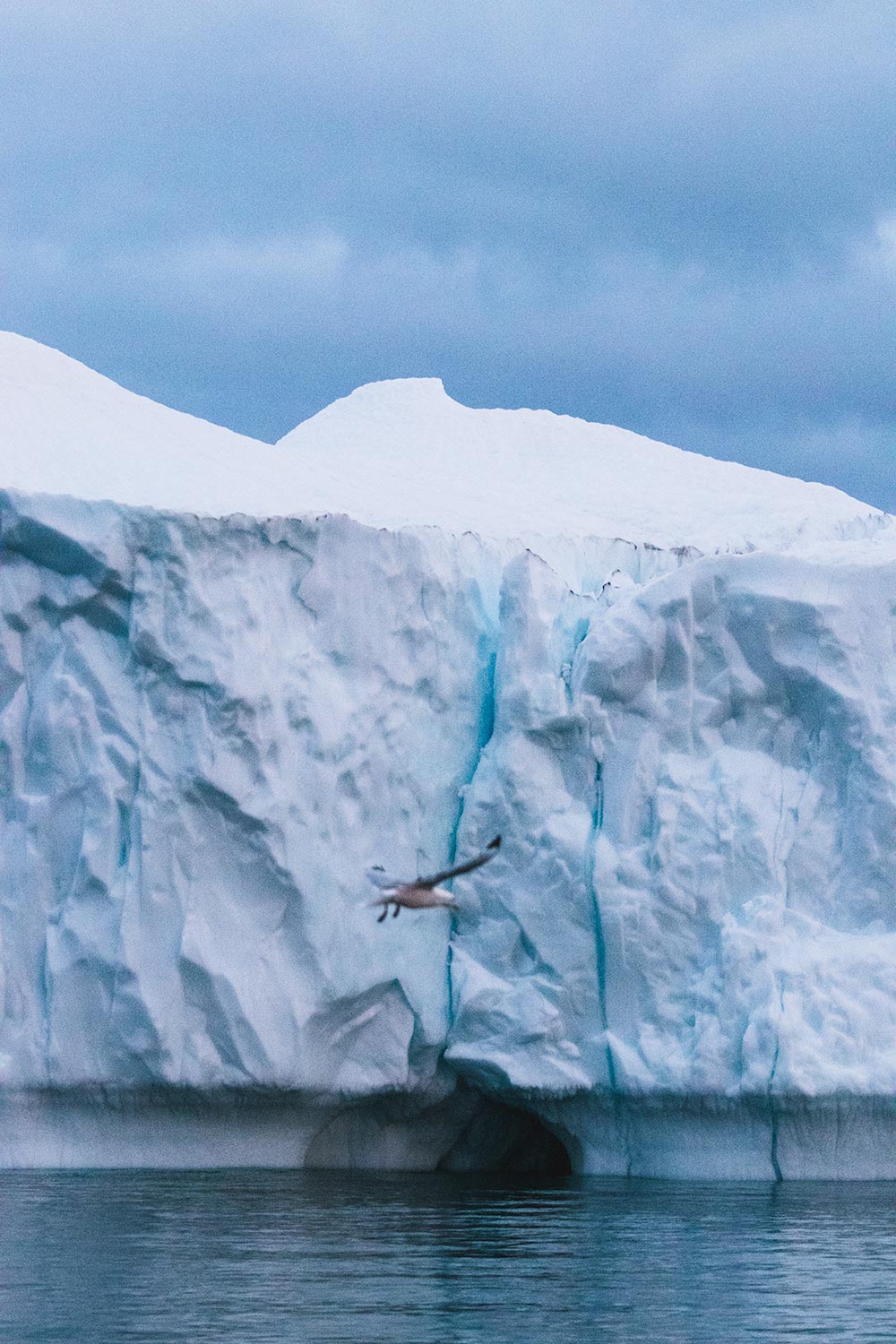 Iceberg views during Greenland summer