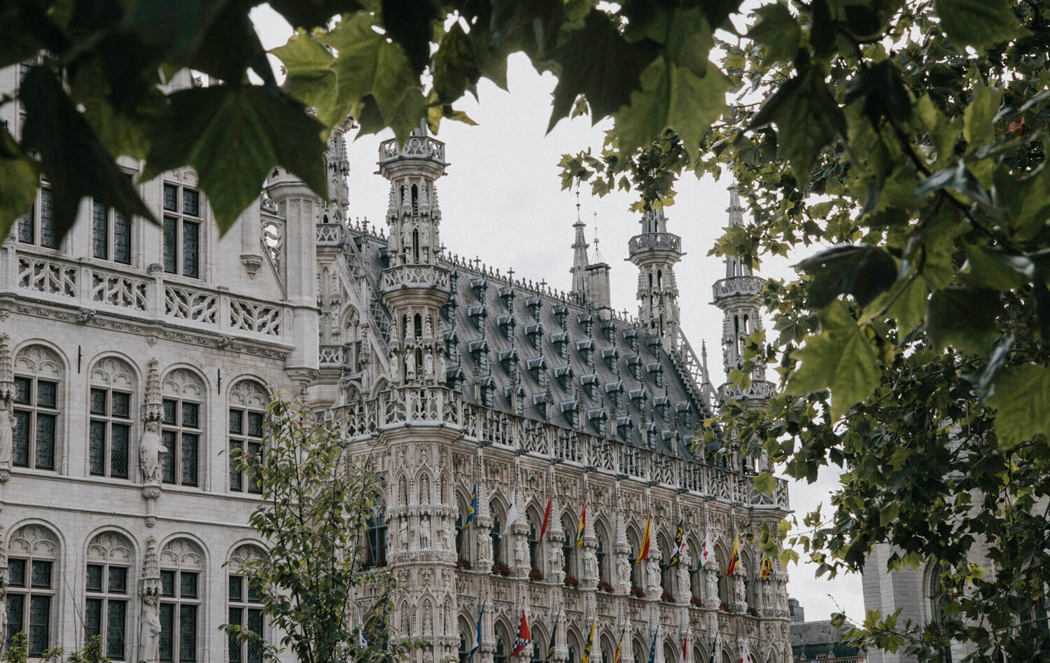 leuven tourism