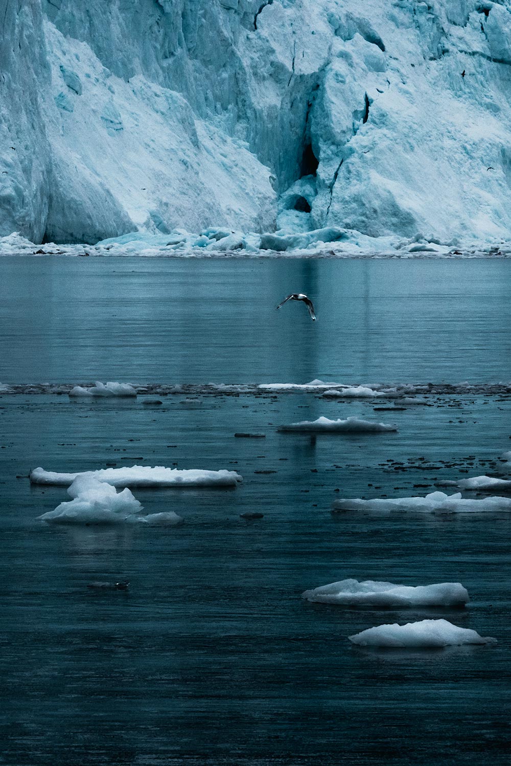 Drijvende ijsbrokken voor de Eqi Gletsjer