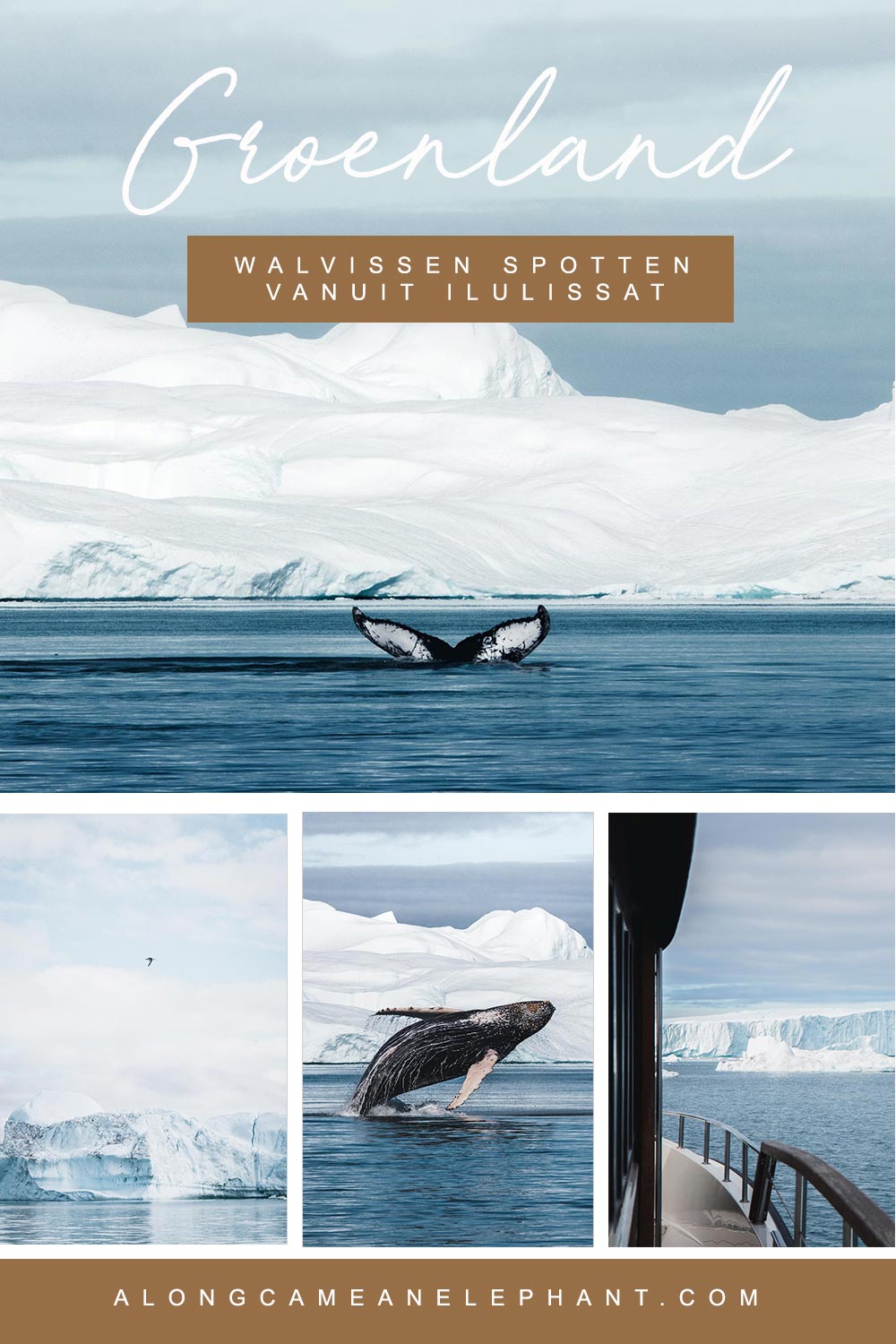 Lijkt walvissen kijken in Groenland je de max? Ga op een 3 uur walvissafari vanuit Ilulissat, een wildlife ervaring in Groenland om nooit te vergeten!  #groenland #walvissen #walvissafari #whalewatching
