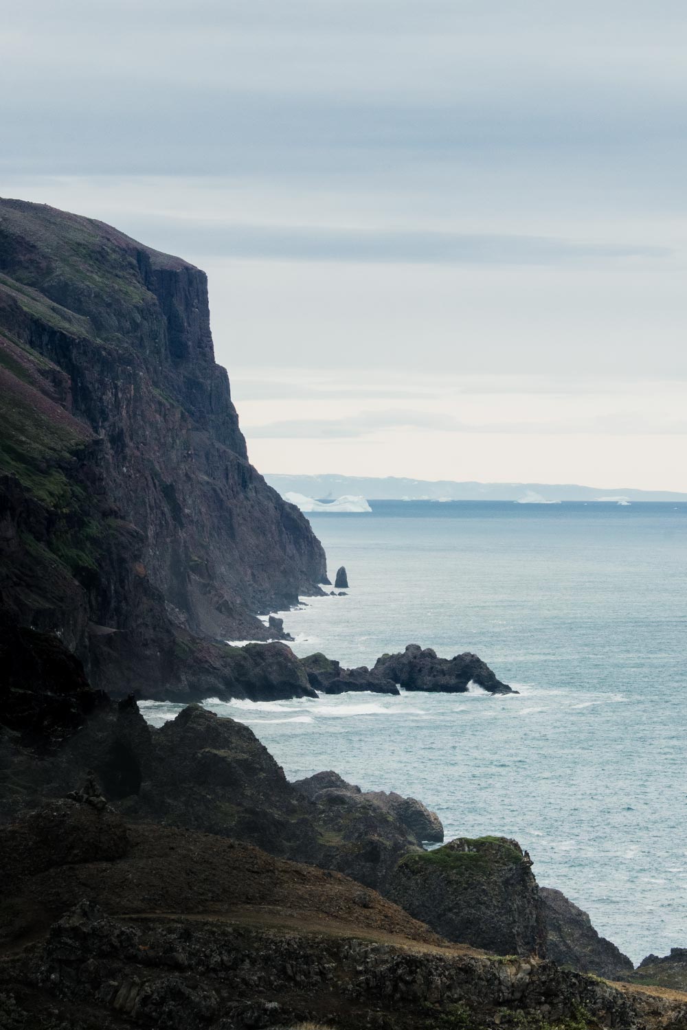 De mooiste wandeling op Disko island: uitzichten over de kust tijdens Kuannit Hike