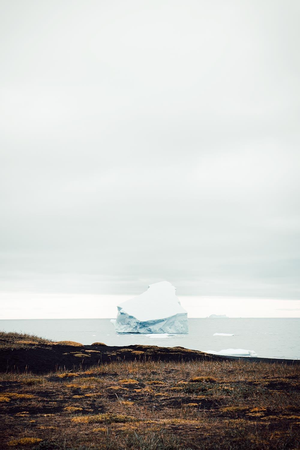 Wandelen op Disko Island met zicht op ijsbergen