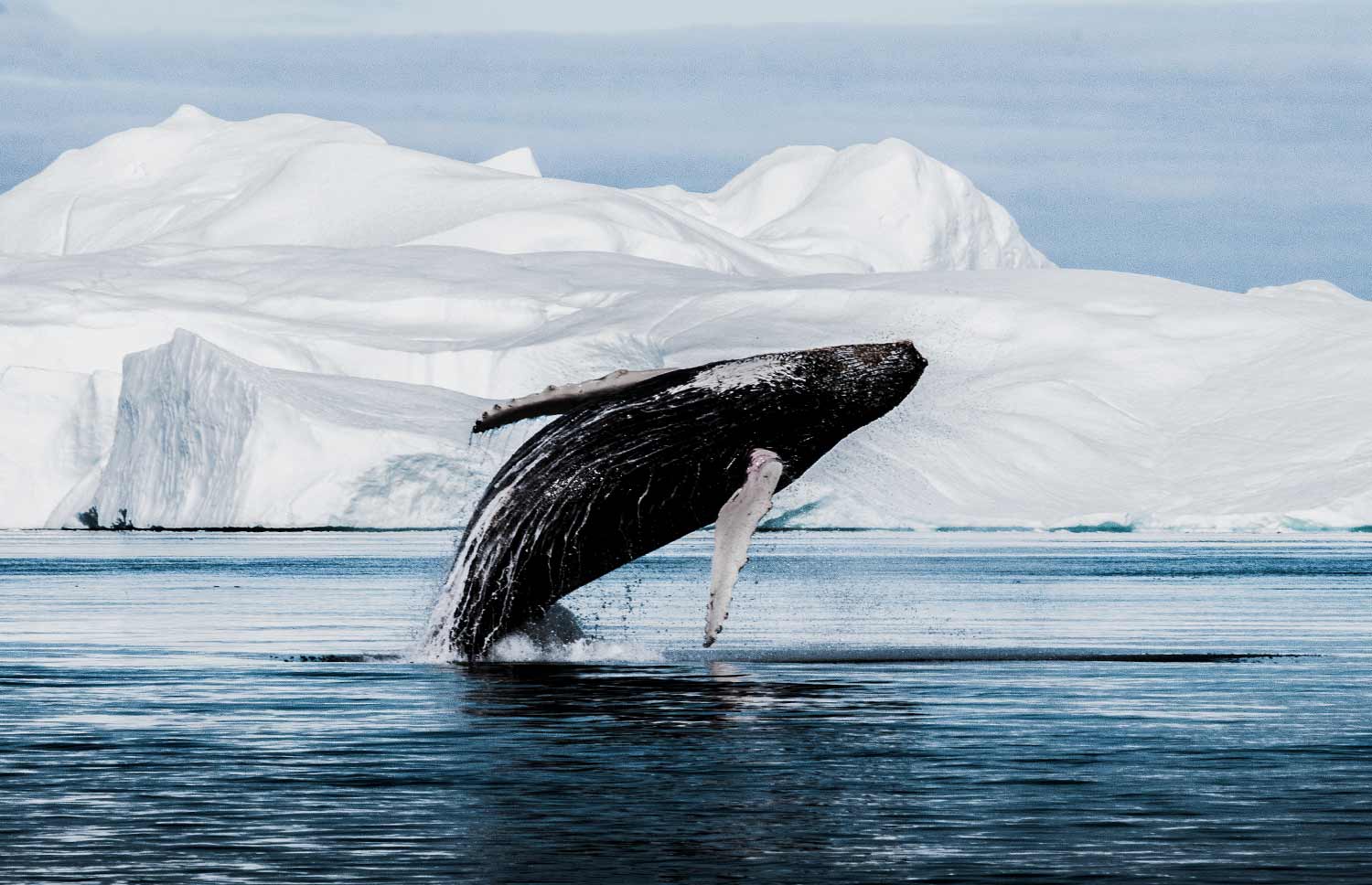 vr travel greenland