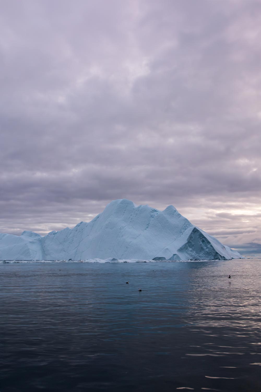 Greenland's mesmerizing icebergs: Captivating scenes on a 10-day journey