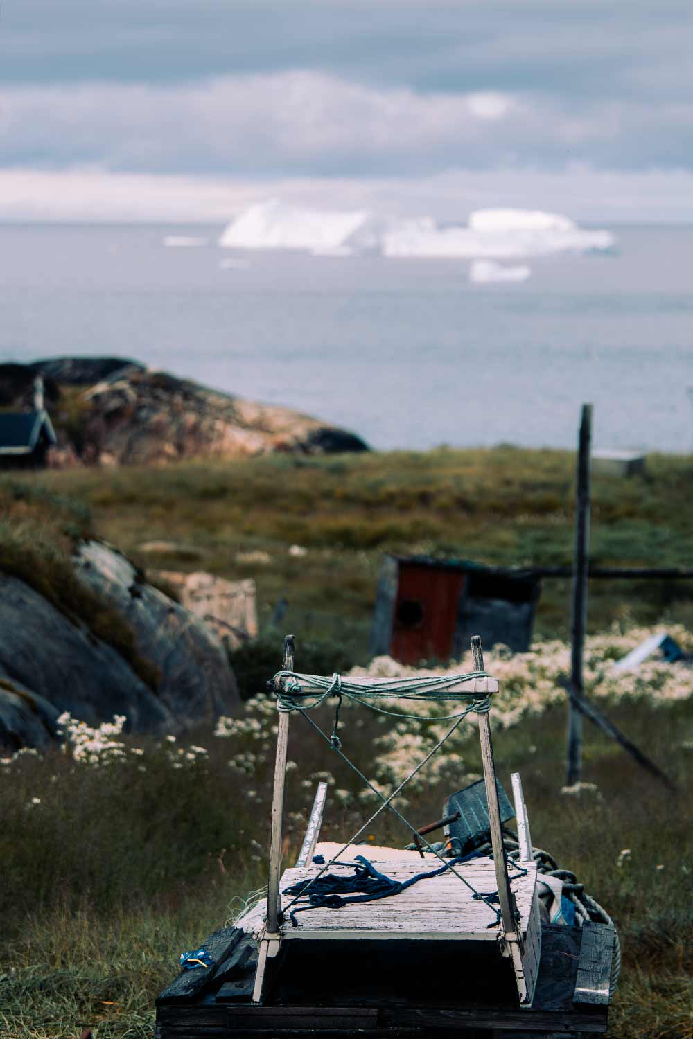 Hondenslee die wacht tot het winter wordt in Ilulissat