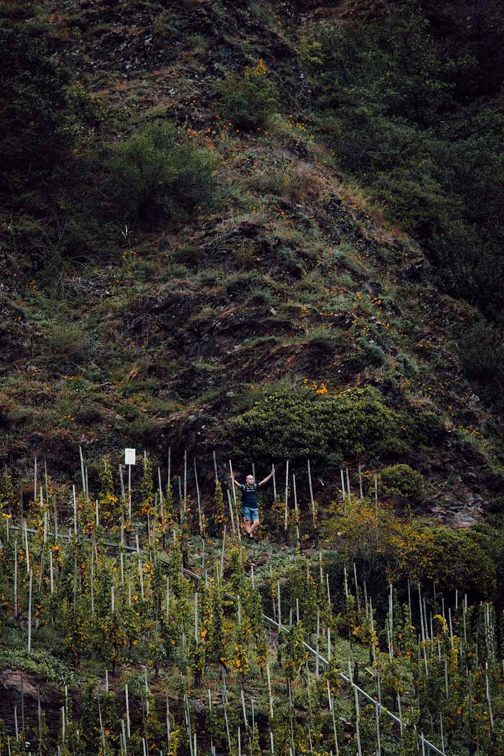 Wandelen tussen de steilste wijngaarden van Europa tijdens de Calmont Kettelsteig wandeling