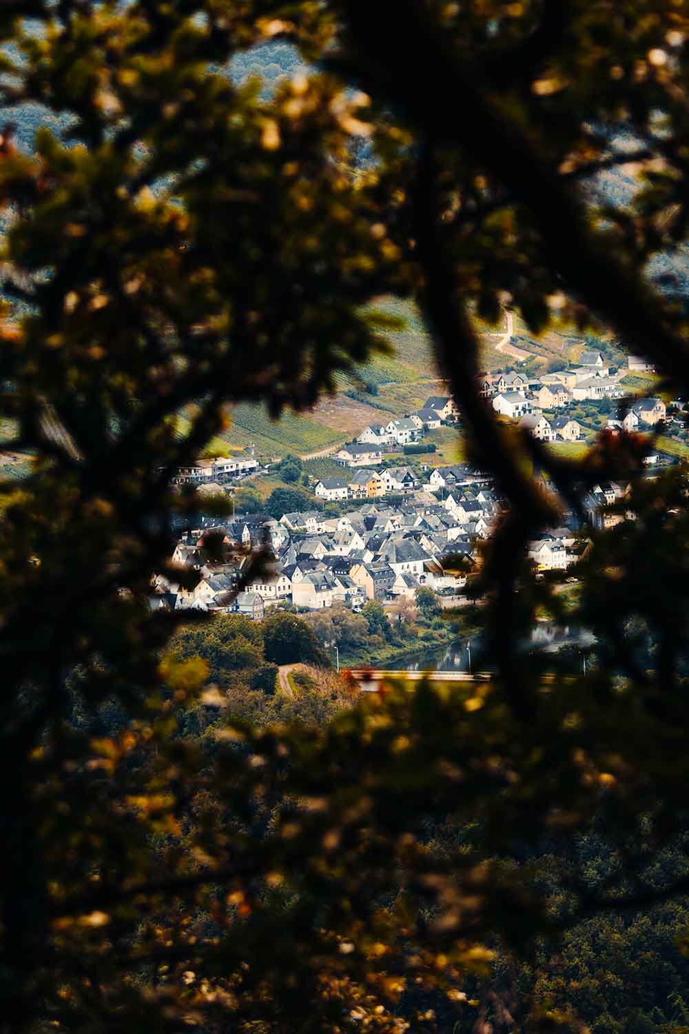 Uitzicht op Ediger-Eller vanaf de Calmont Höhenweg
