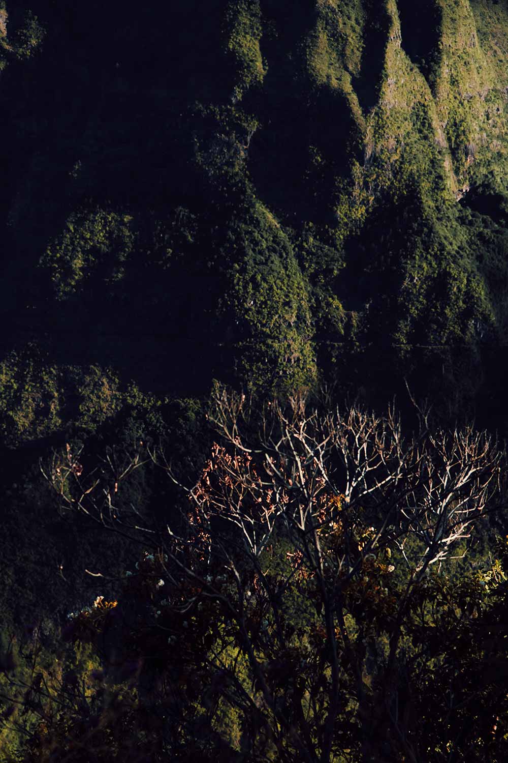Awe-inspiring rock formations at Cap Noir, a geological marvel on La Réunion.