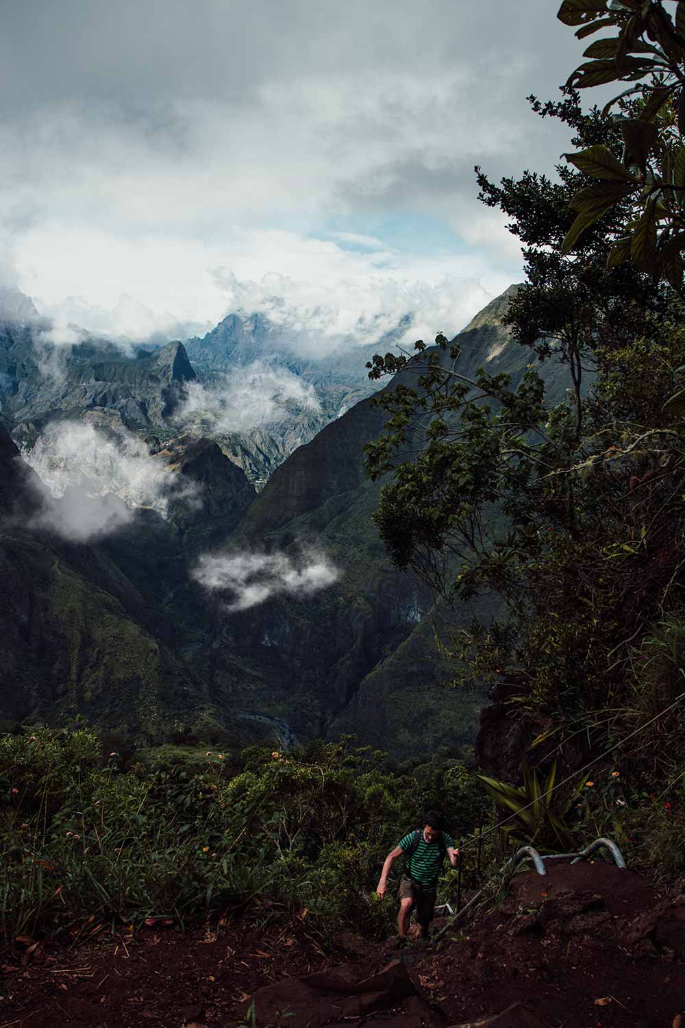 Exploring the diverse flora and fauna along the Cap Noir Réunion hiking trail.