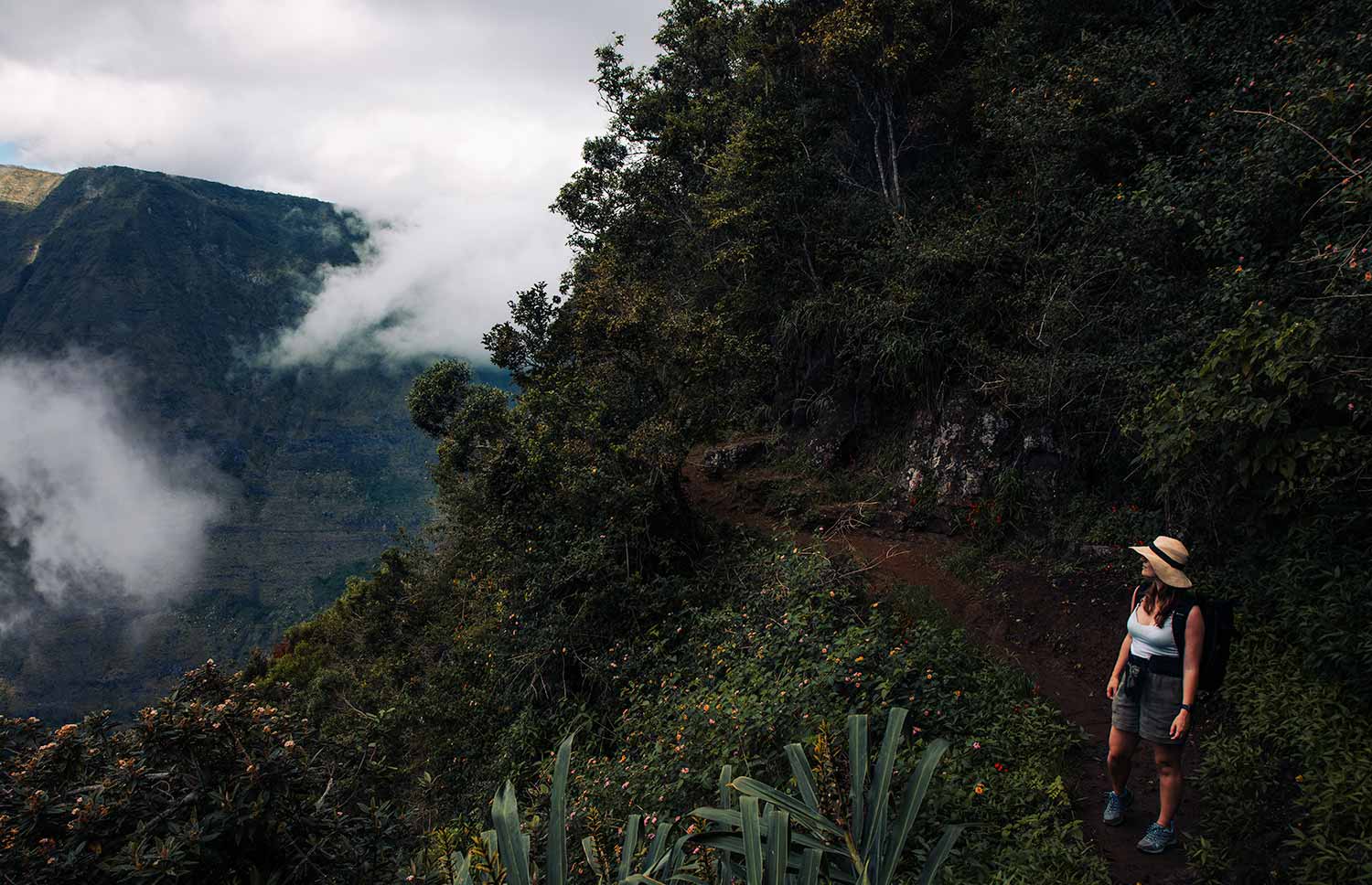 Serene moments amidst nature's beauty during the Reunion Island hiking experience