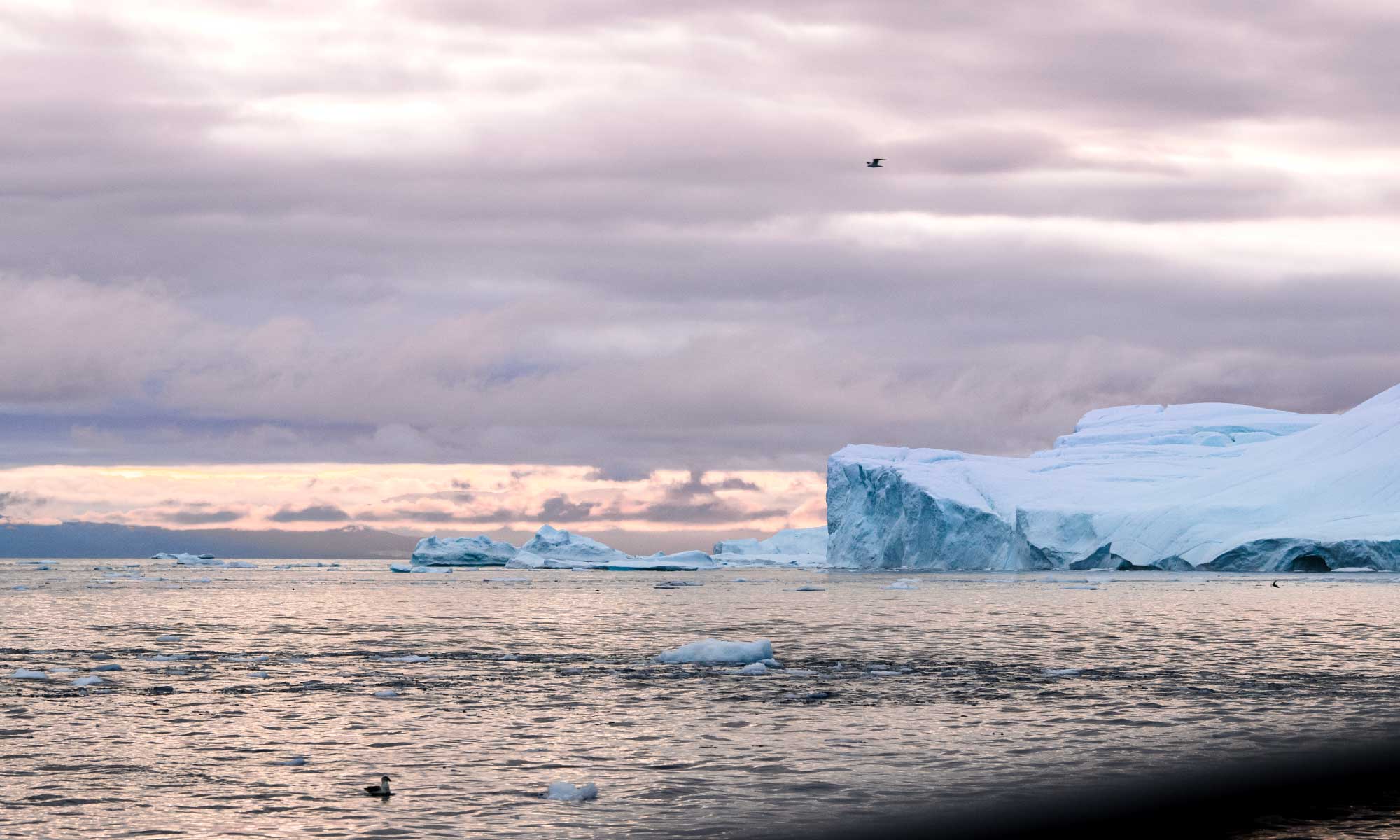 Nature's grandeur unfolds in the perpetual twilight on a Greenland tour iceberg cruise
