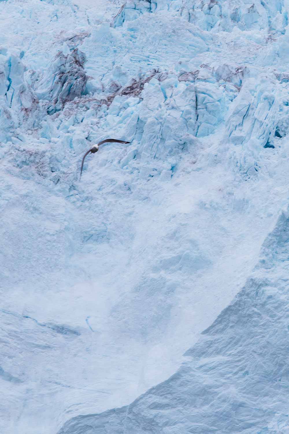 Eqi Glacier Tour: Explore the majestic Eqip Sermia in Greenland's wilderness