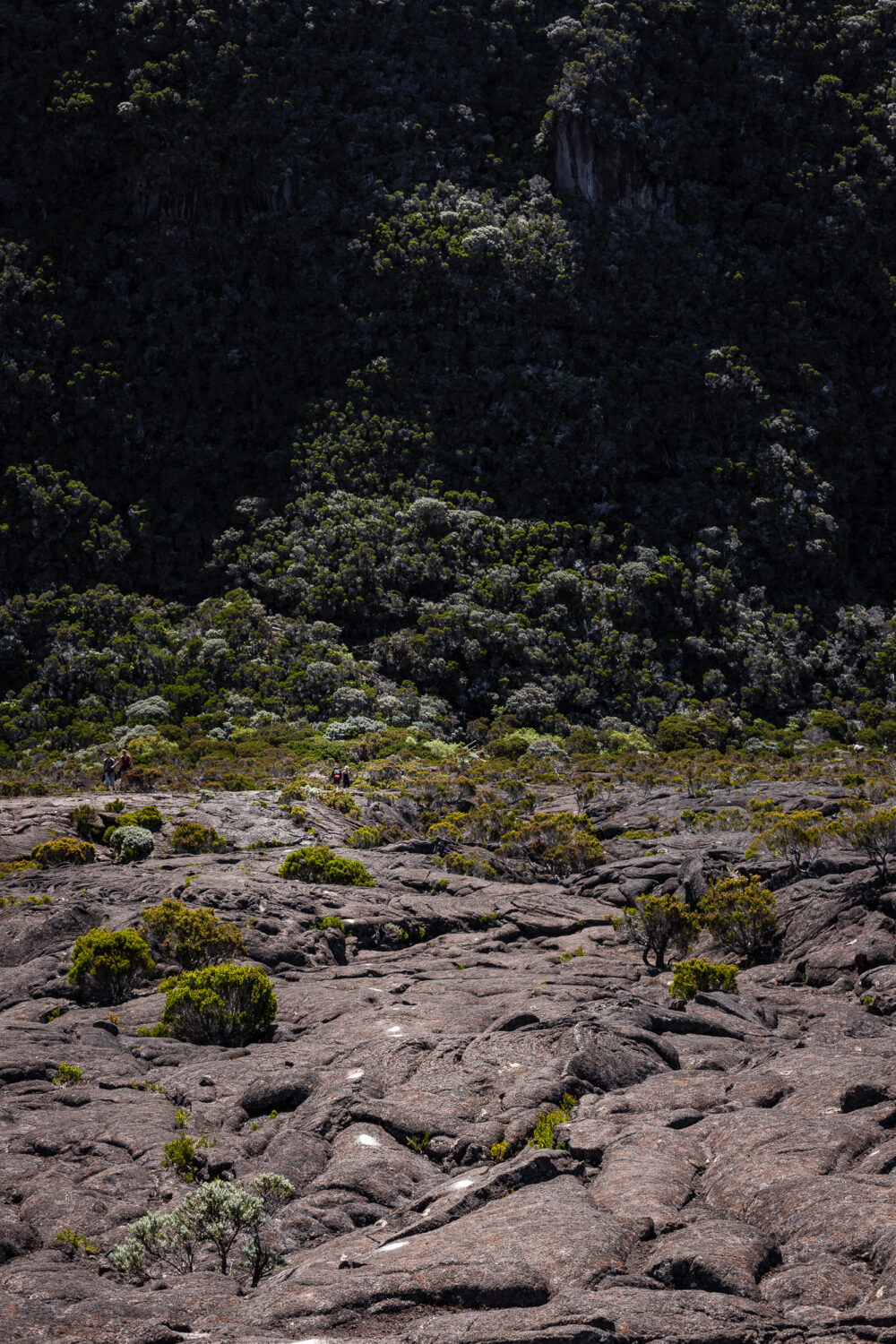 nieke ervaring op Piton de la Fournaise: wandelen over gedroogde lava