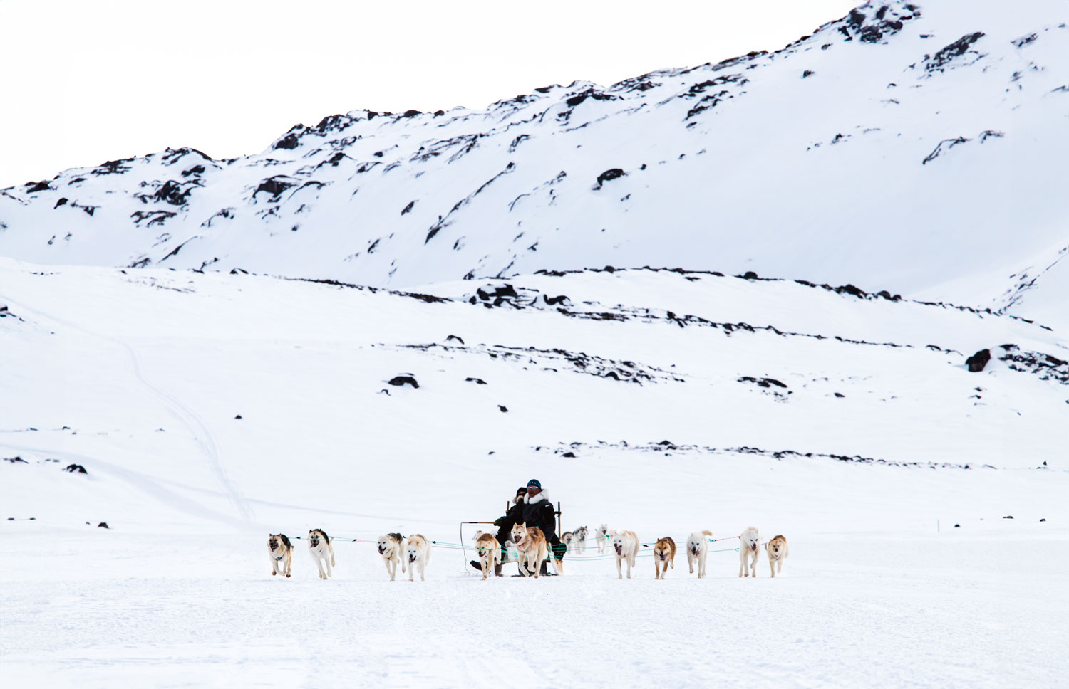 Hondensledetocht doorheen de Groenlandse natuur in Ilulissat