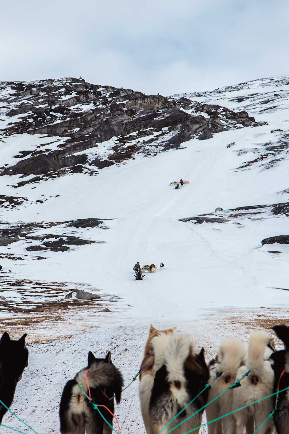 Bergop met de hondenslee in Ilulissat